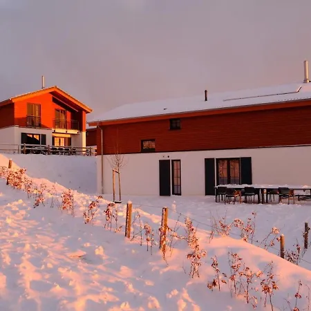 Luxury With Sauna, Near The Area And Center *