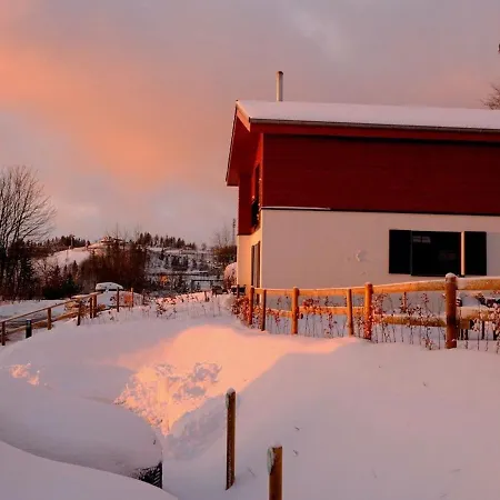Luxury With Sauna, Near The Area And Center